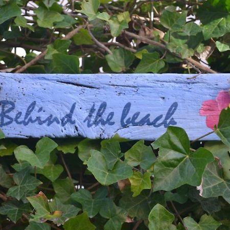 Behind The Beach Zandvoort Exterior foto
